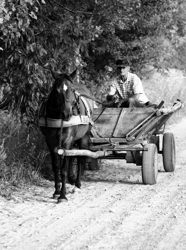 Dla dziadków